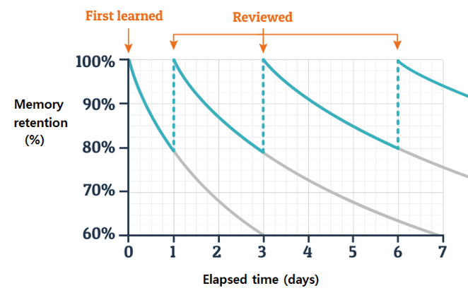 Ebbinghaus-forgetting-curve-and-review-cycle